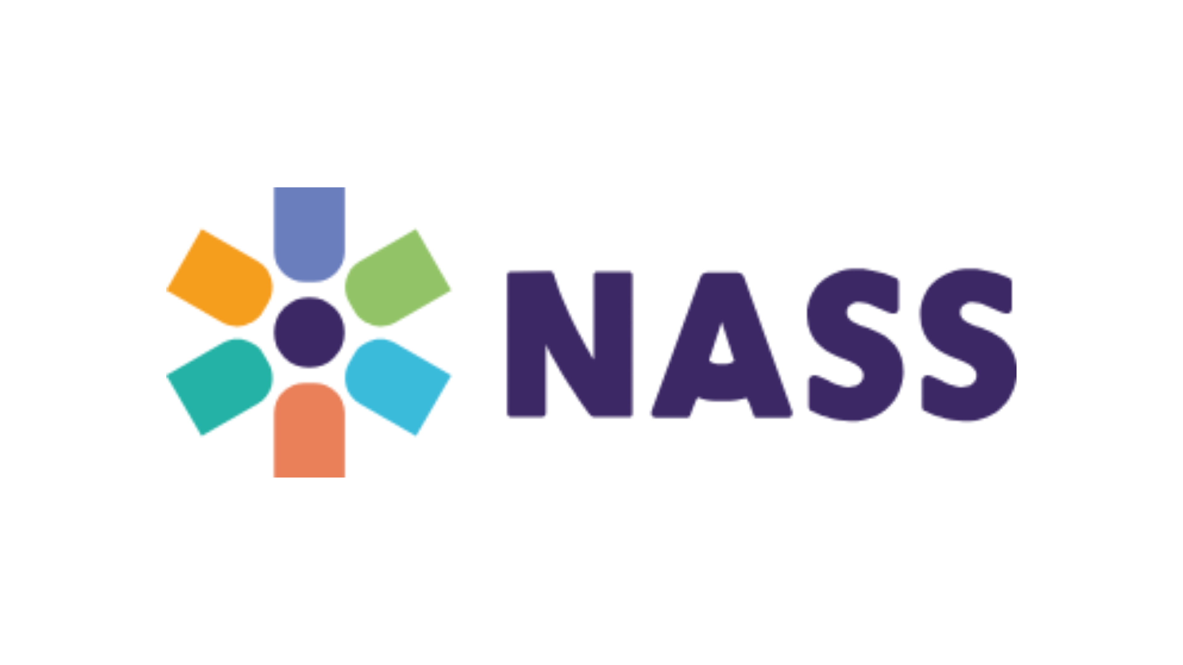 NASS Logo