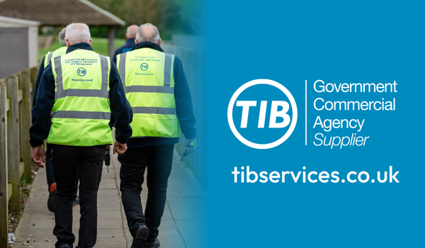 TIB Team Walk Banner