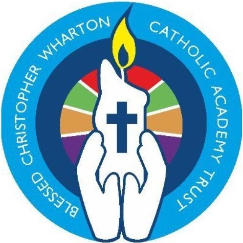 Case Study - BCWCAT Logo