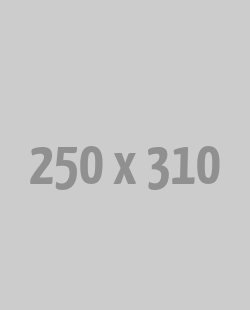 250x310